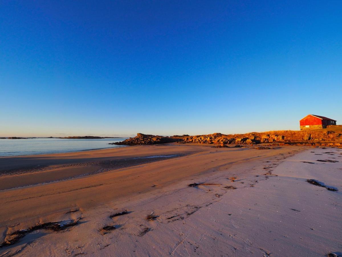 Eagle View Lofoten Bostad Ngoại thất bức ảnh