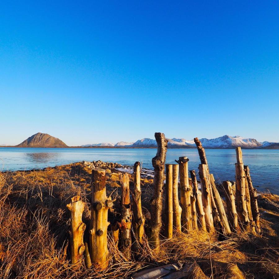 Eagle View Lofoten Bostad Ngoại thất bức ảnh